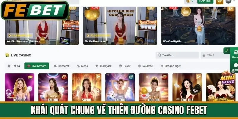 Khái quát chung về thiên đường casino FEBET