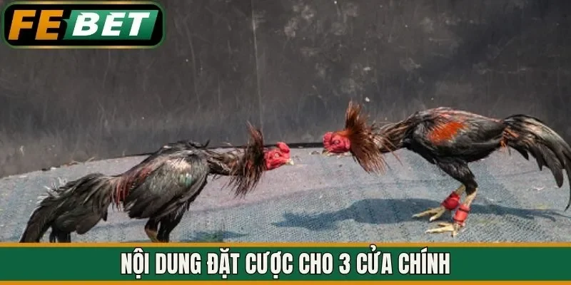 Nội dung đặt cược cho 3 cửa chính