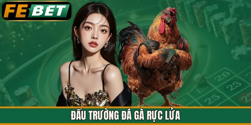 Đấu trường đá gà rực lửa